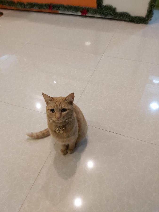 Duy Hotel دالات المظهر الخارجي الصورة